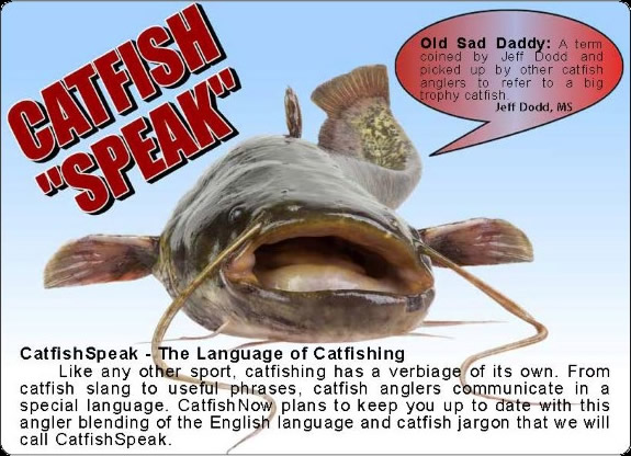 catfish now free digital