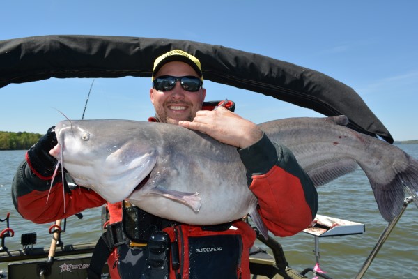 Planer boards helped McCallister catch this hefty blue cat.