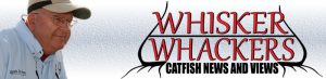 Catfish