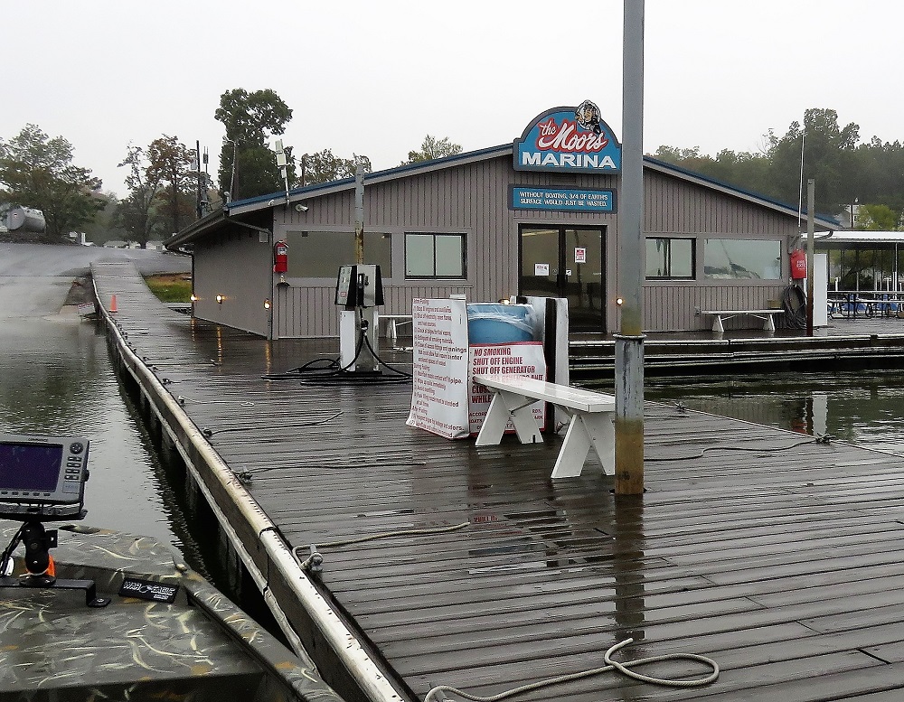 bass boat rentals kentucky lake catfish now free digital magazine yellow bass fishing bass boat rentals kentucky lake catfish now free digital magazine yellow bass fishing